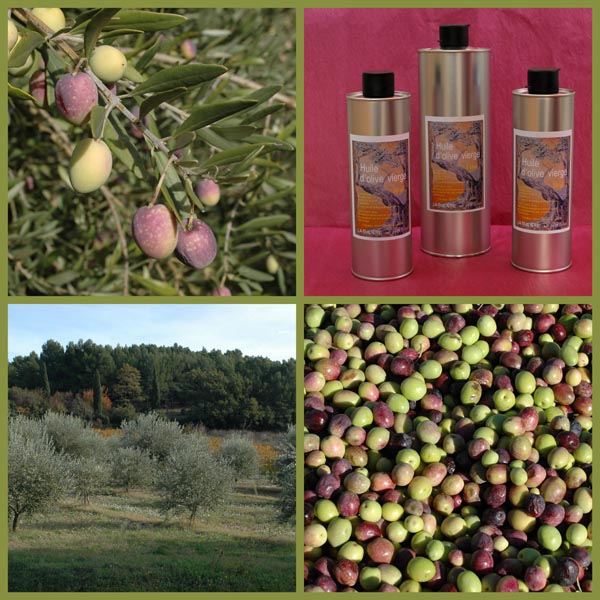 Huile d'Olives La Tuiliere en Luberon